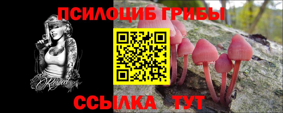 Галлюциногенные грибы Cubensis Железноводск